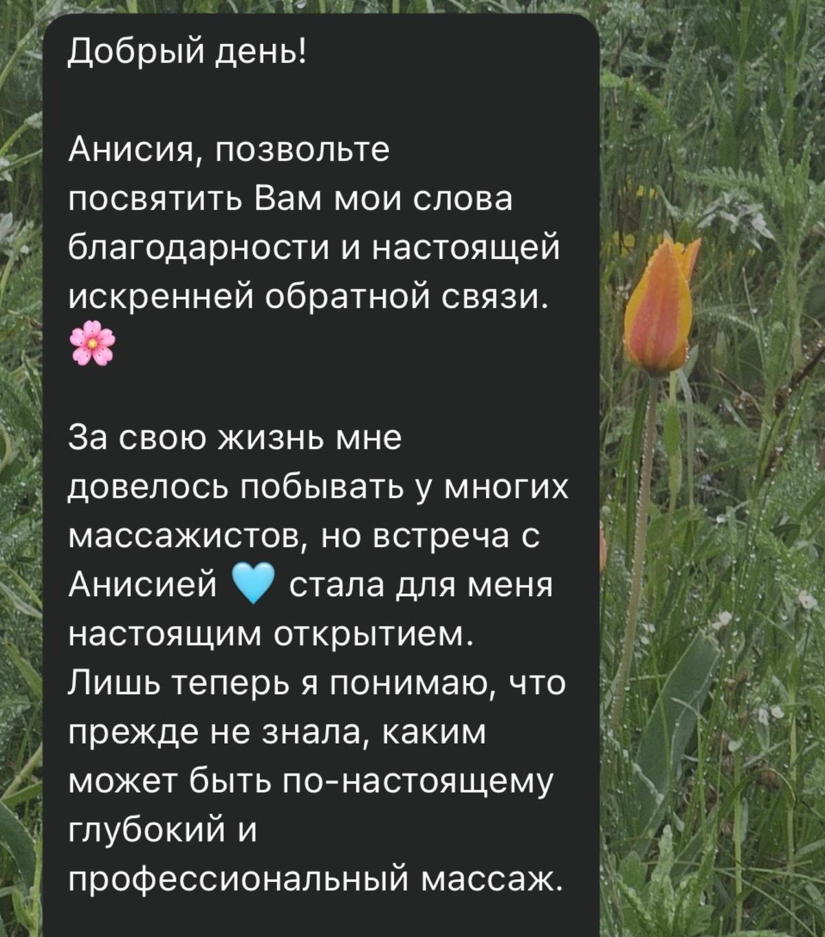 Отзывы, Анисья