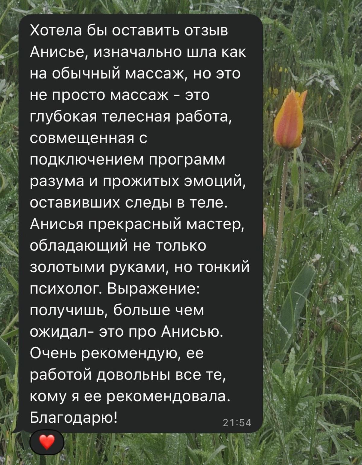 Отзывы, Анисья