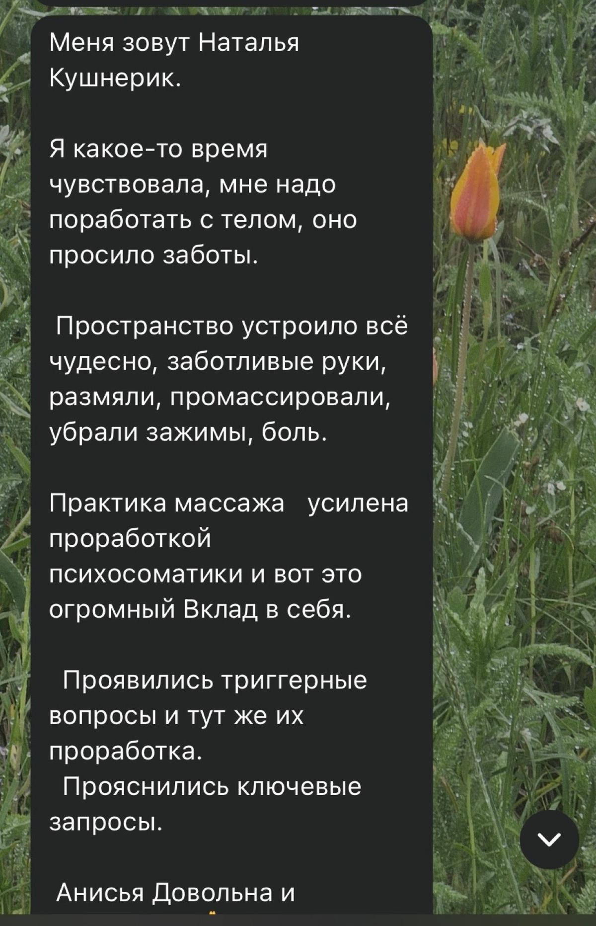 Отзывы, Анисья