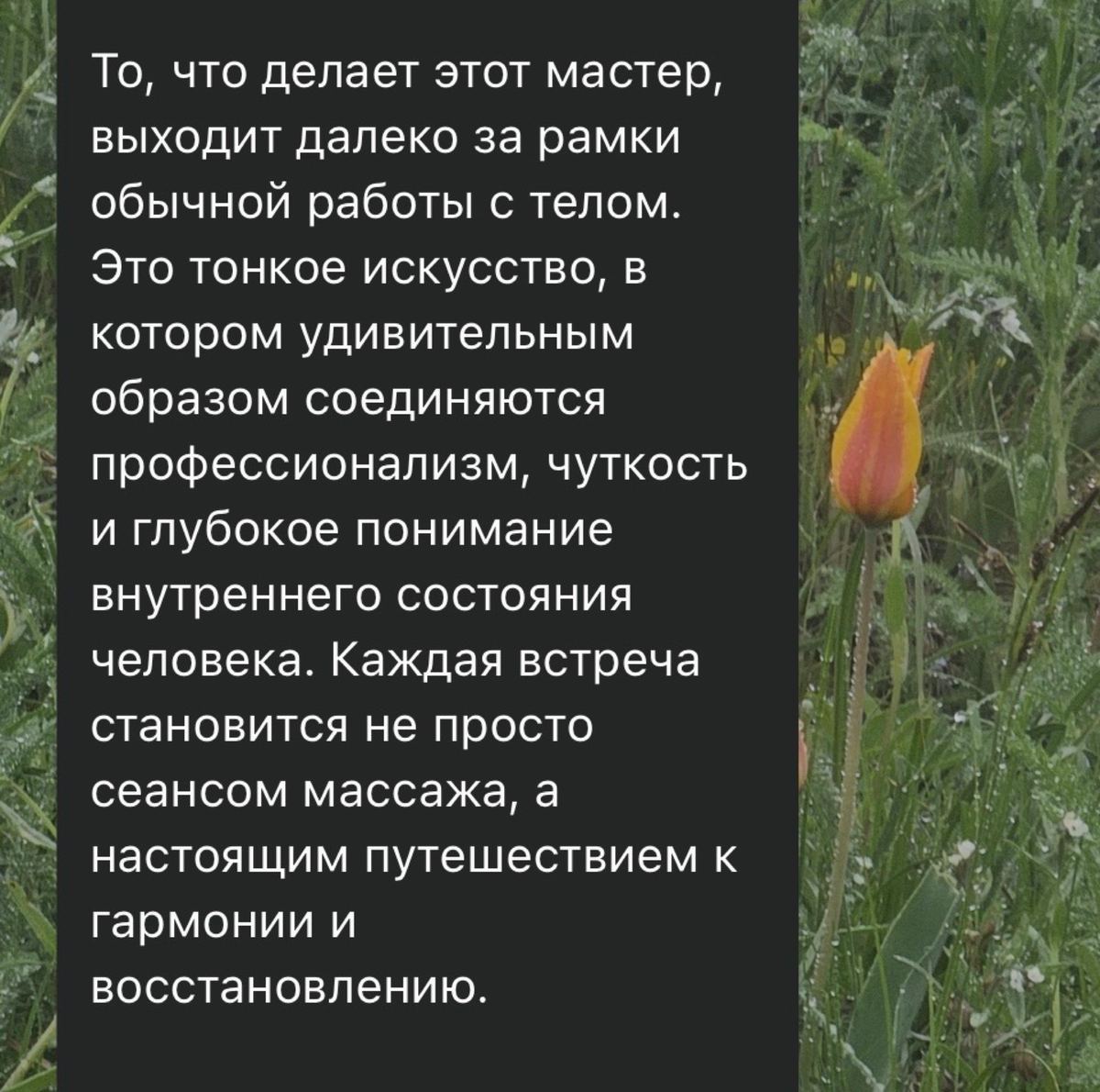 Отзывы, Анисья