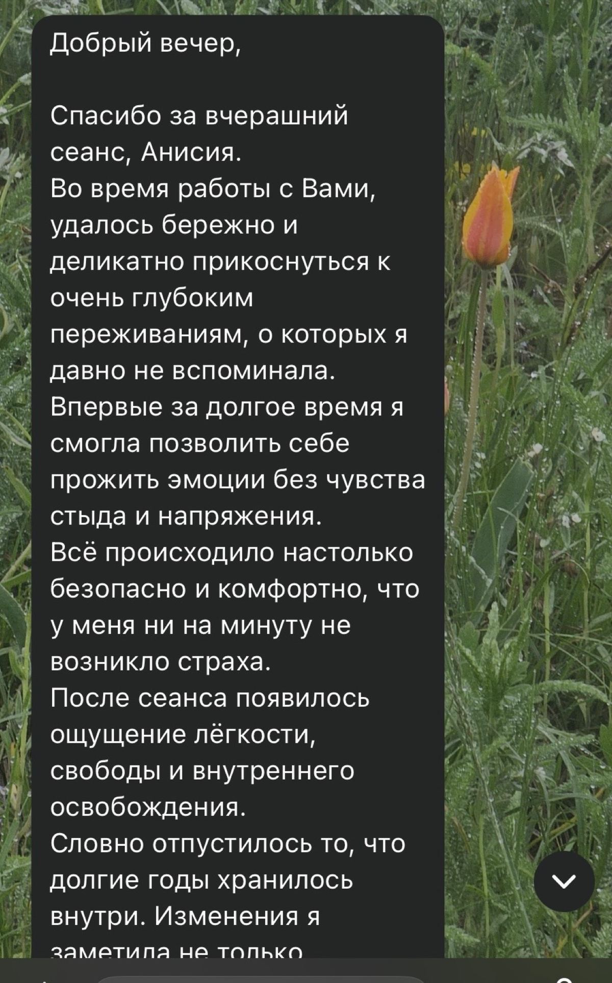 Отзывы, Анисья