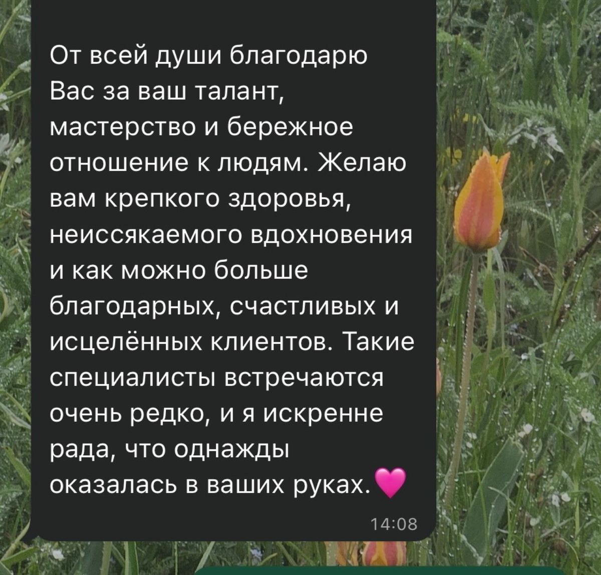 Отзывы, Анисья