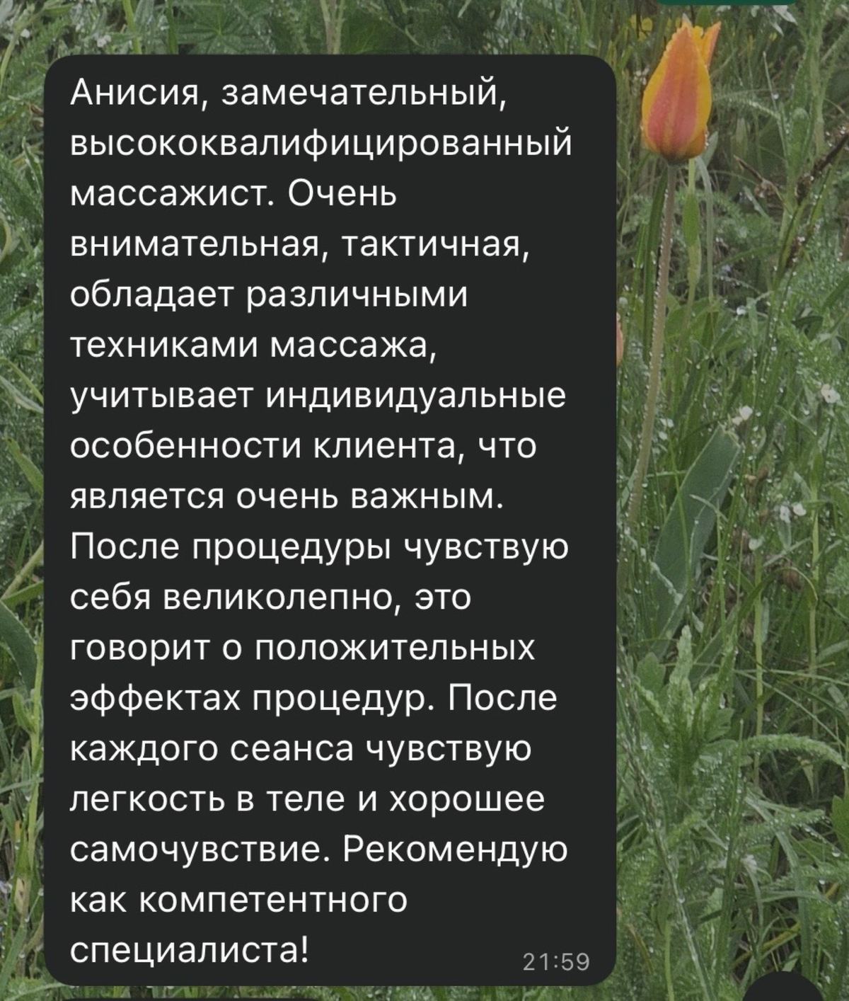Отзывы, Анисья